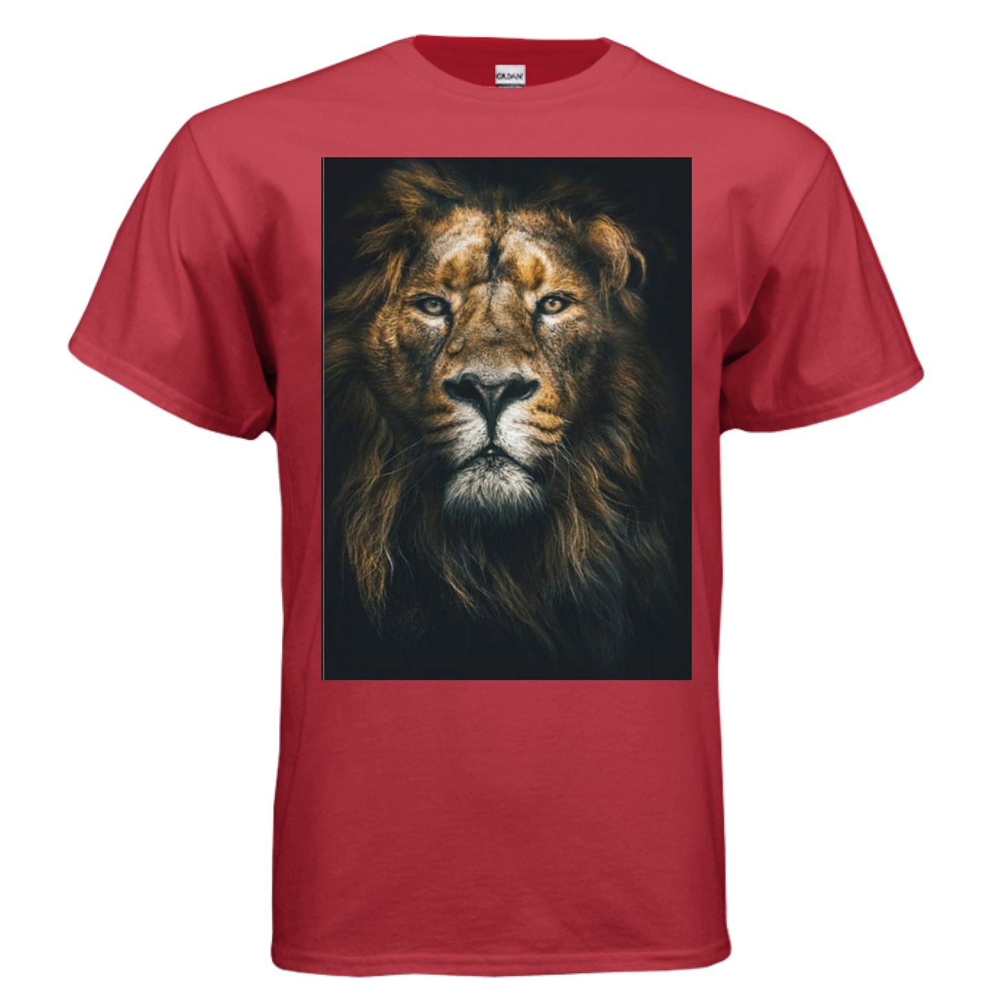RED - FRONT